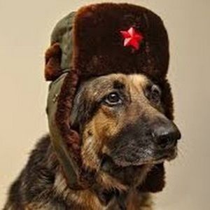 Meet your Posher, Zachary